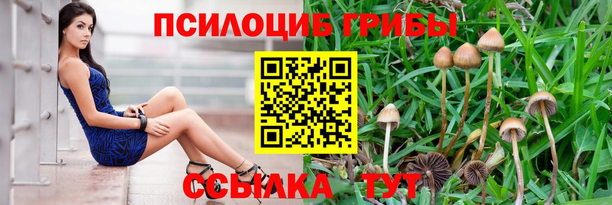 Псилоцибиновые грибы Psilocybine cubensis Минеральные Воды