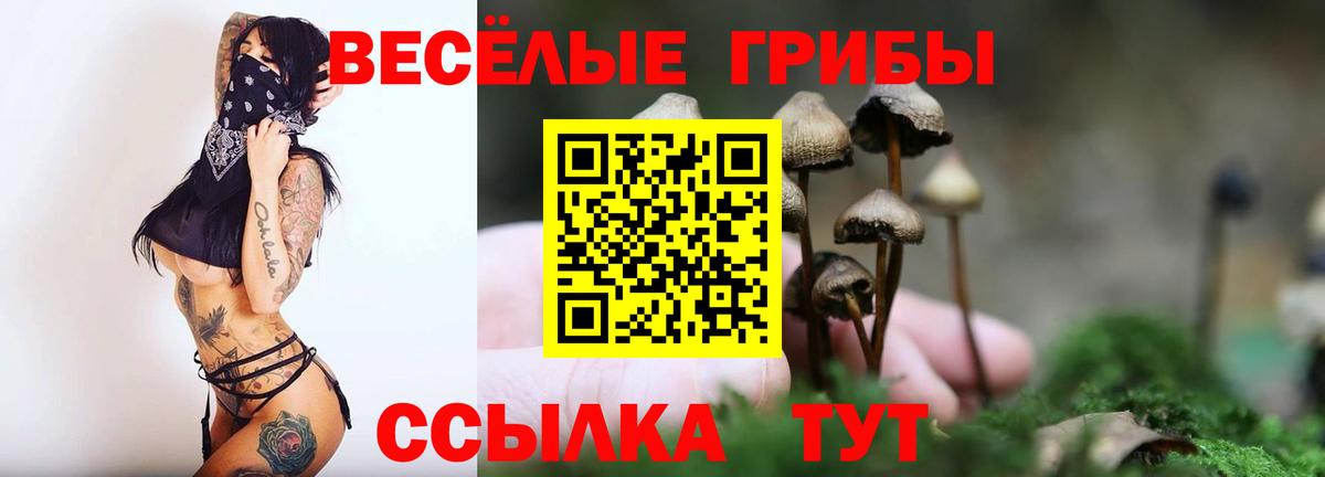 Минеральные Воды  Псилоцибиновые грибы Magic Shrooms  Вход с VPN 